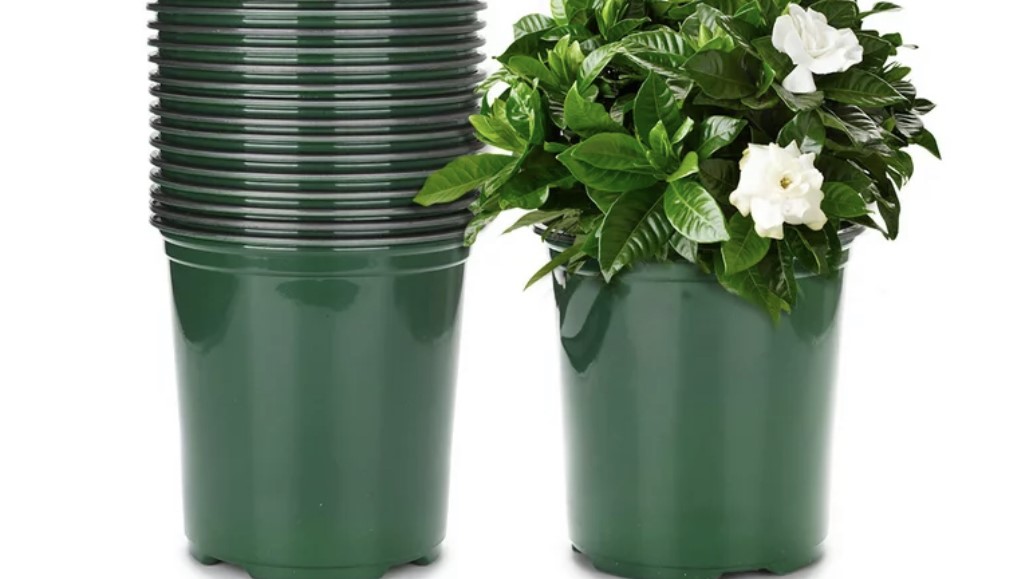 Strategies for Reusing Flowerpots and Garden Containers When Plant Parenting Fails